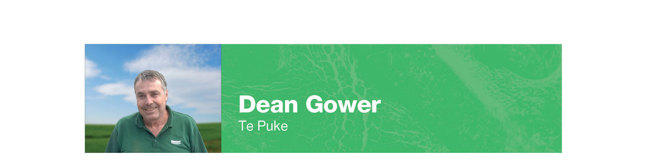 gower desktop