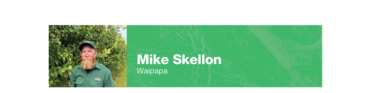 mike-skellon-banner