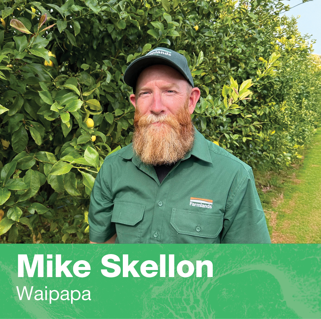 mike-skellon-banner