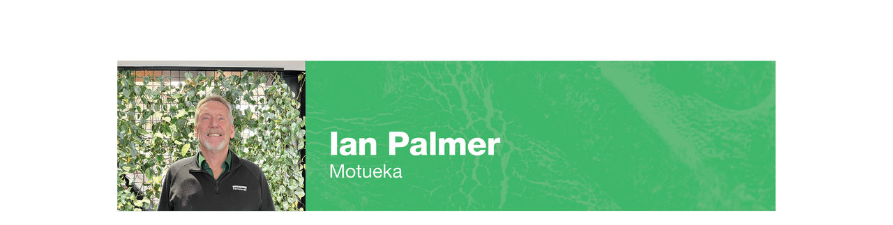 ian-palmer-banner