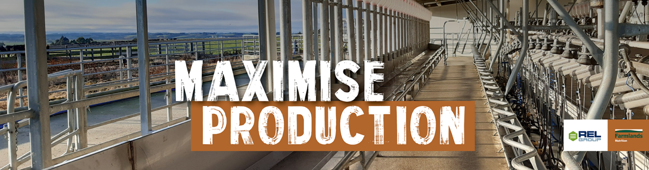 relprofeed-desktop-banner