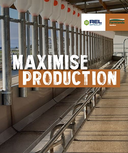 relprofeed-mobile-banner