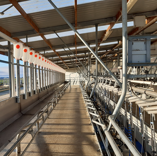 relprofeed-mid2mobile