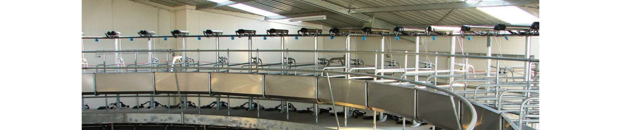 rel-midbody-1-desktop