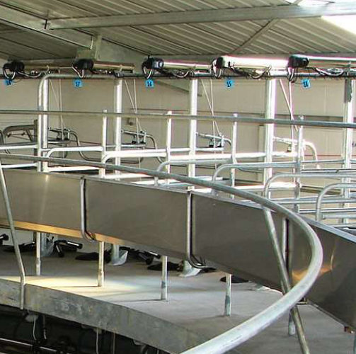 relprofeed-mid1mobile