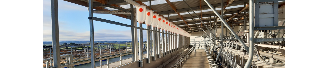 relprofeed-mid2desktop